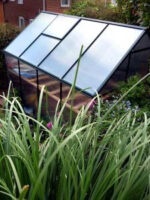 Best Polycarbonate Greenhouse: Waltons | My Review