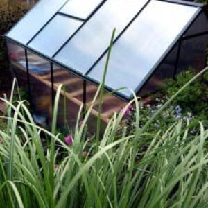 Best Polycarbonate Greenhouse: Waltons | My Review