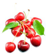 Fruiting Cherry trees