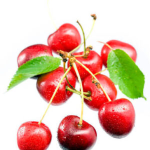 Fruiting Cherry trees