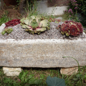 How to Make Hypertufa Planters & Troughs