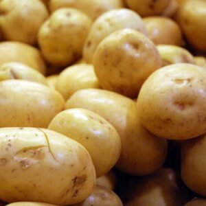 Potato blight