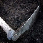 Planting success in problem areas in your garden