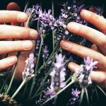 Heavily scented flowers & plants