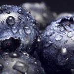 Soft fruits for autumn planting