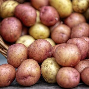 Guide to Seed Potato Varieties