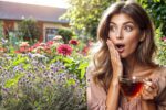 Grow a Powerful Medicinal Herb Garden: Nature’s Healing Secrets Revealed