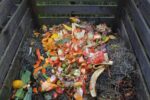 Composting 101: Turn Kitchen Scraps into Nutrient-Rich Garden Soil