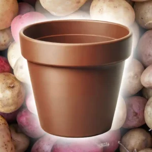 Beginner’s Trick: Grow Potatoes in Pots for a Bumper UK Crop