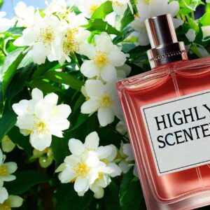 The Ultimate Guide to Growing Philadelphus (Mock Orange) in Your UK Garden